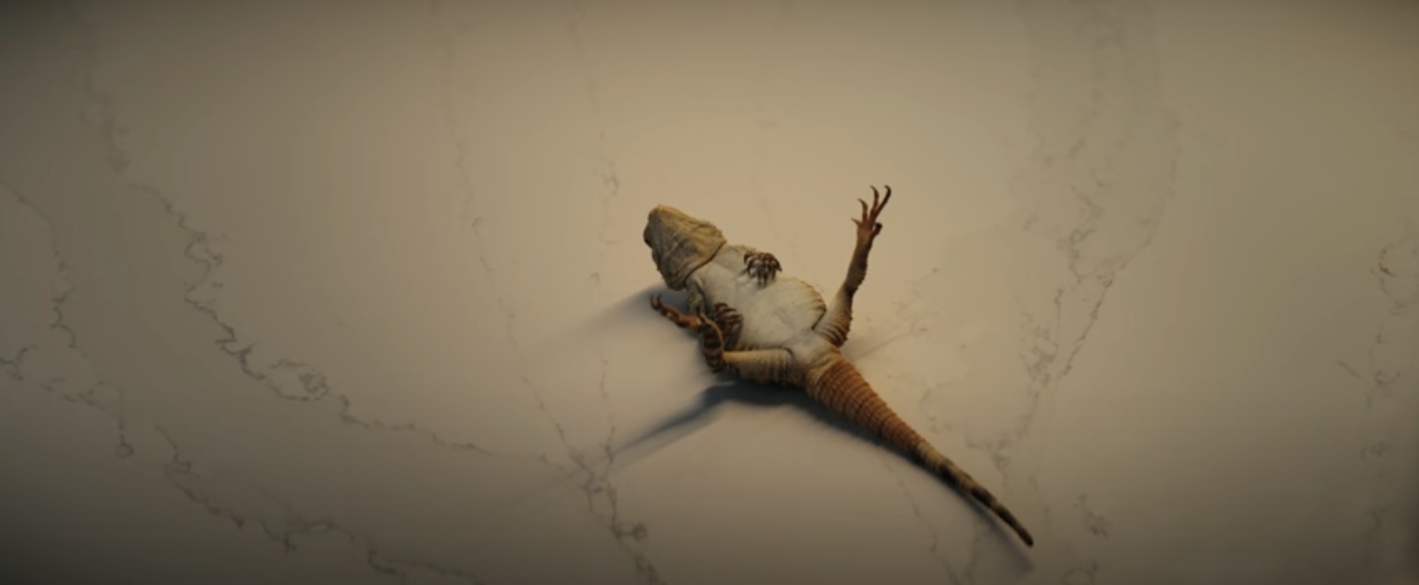 Cannes Lions : tous les Grand Prix
